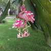 Gorgeous and dazzling flamingo ornament