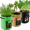 (🔥 Summer Hot Sale - 50% OFF) Fruits Vegetables Potato Grow Planter Bag, Buy 4 Get Extra 20% OFF