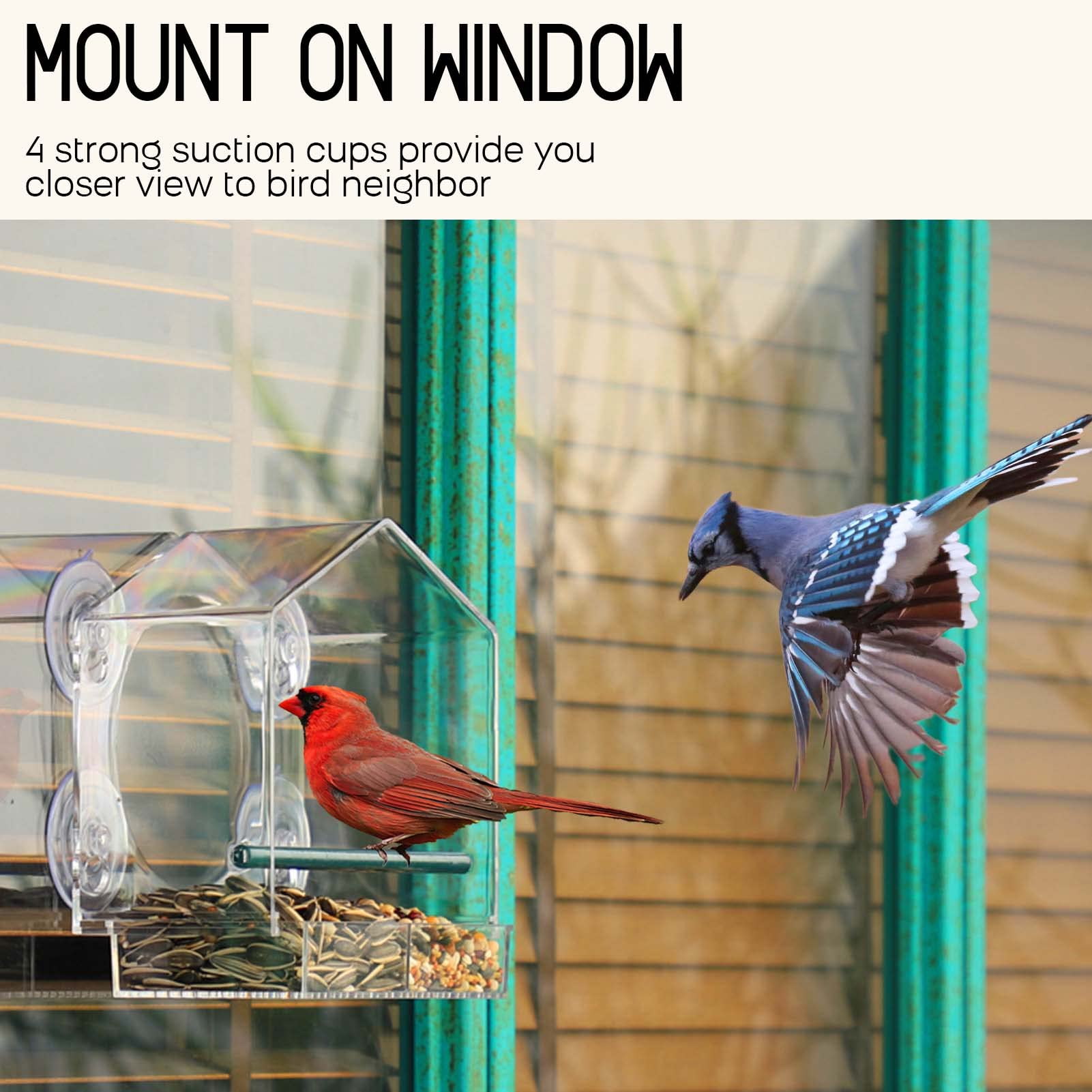 🔥Mother's Day Early Sale-[SAVE 50% OFF]--Window Bird Feeder for Outside--BUY 2 GET FREE SHIPPING NOW!