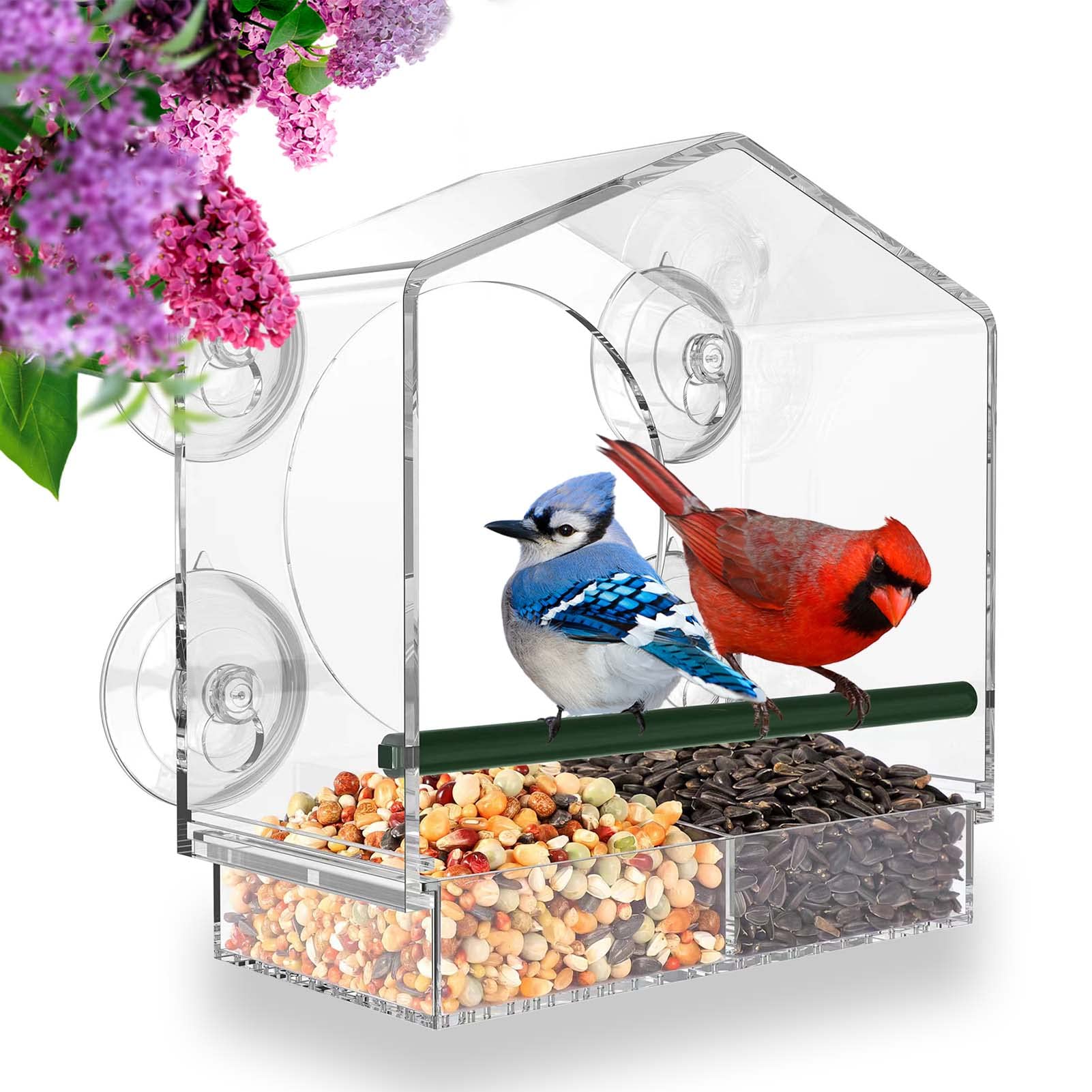 🔥Mother's Day Early Sale-[SAVE 50% OFF]--Window Bird Feeder for Outside--BUY 2 GET FREE SHIPPING NOW!