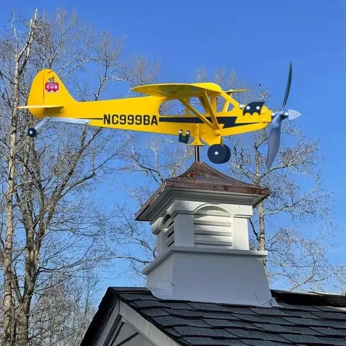 🎄Early Christmas Sale - 49% OFF)✈️Airplane Weathervane