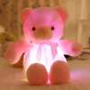 ?Glowing Teddy Bear?