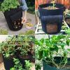 (🔥 Summer Hot Sale - 50% OFF) Fruits Vegetables Potato Grow Planter Bag, Buy 4 Get Extra 20% OFF