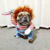 Pet funny costumes