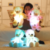 ?Glowing Teddy Bear?