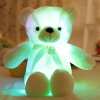 ?Glowing Teddy Bear?